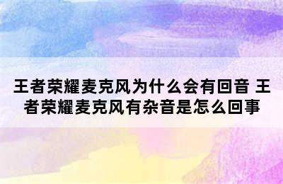 王者荣耀麦克风为什么会有回音 王者荣耀麦克风有杂音是怎么回事